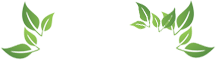 米兰体育 - 官方App与网页版入口 | 米兰官网